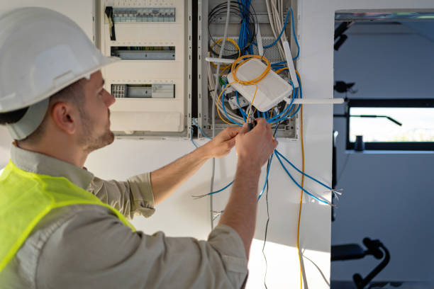 Best Electric Panel Repair  in Labarque Creek, MO